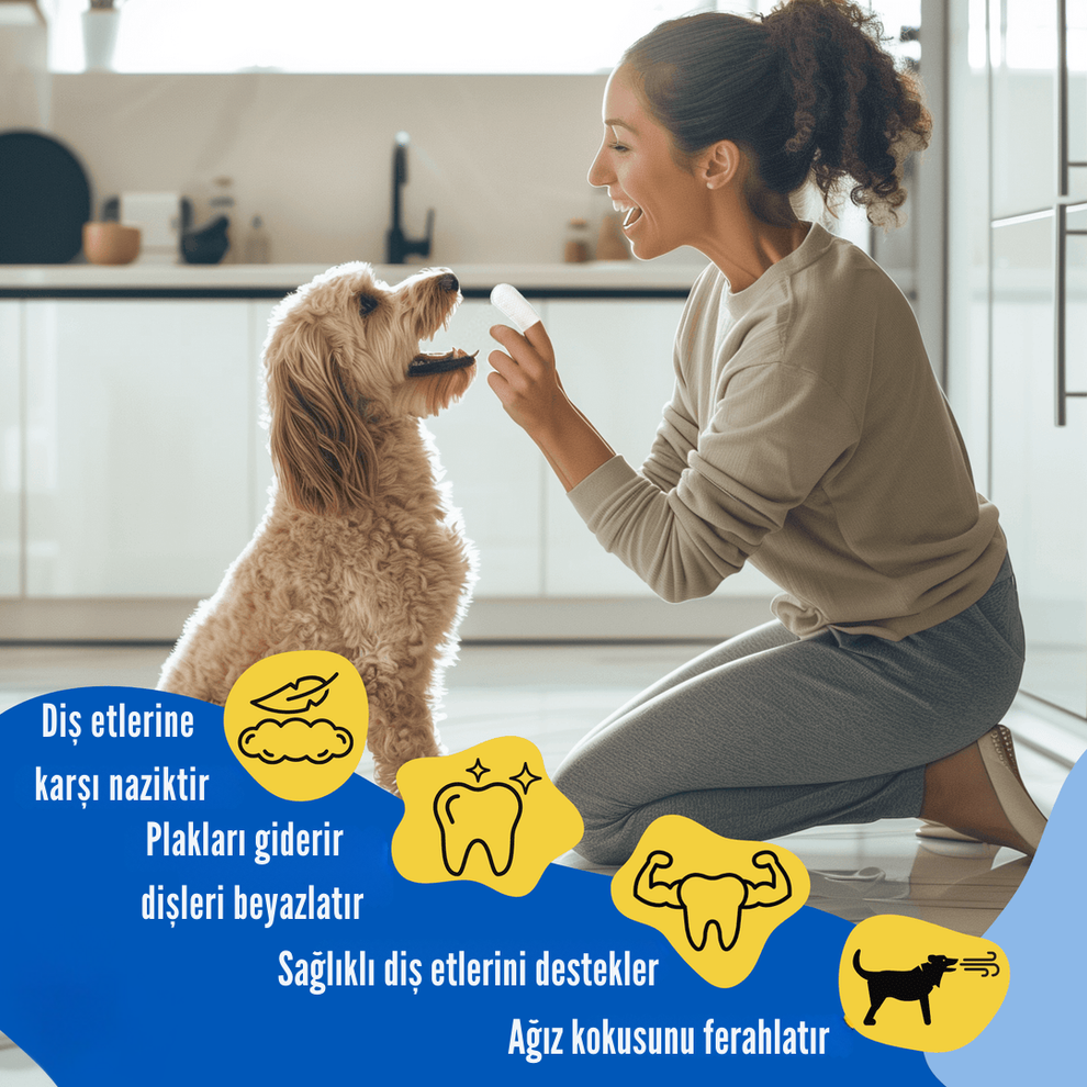Evcil Hayvan Diş Temizleme Mendilleri