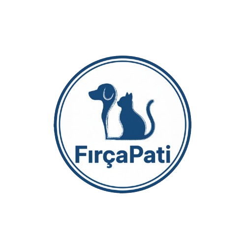 FırçaPati